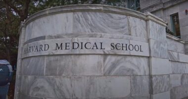 Harvard Continues Race-Based Admissions: Complaint