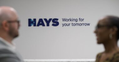 Hays profits tumble as recruiter flags sharp drop in permanent hiring