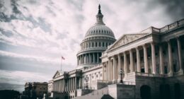 Here's the Left's Plan to Stop Trump's Move Against D.C. Crime