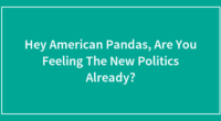 Hey American Pandas, Are You Feeling The New Politics Already?