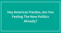 Hey American Pandas, Are You Feeling The New Politics Already?
