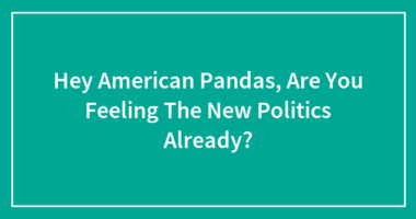 Hey American Pandas, Are You Feeling The New Politics Already?