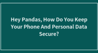Hey Pandas, How Do You Keep Your Phone And Personal Data Secure?