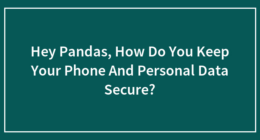 Hey Pandas, How Do You Keep Your Phone And Personal Data Secure?