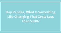 Hey Pandas, What Is Something Life-Changing That Costs Less Than $100?