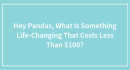 Hey Pandas, What Is Something Life-Changing That Costs Less Than $100?