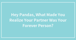 Hey Pandas, What Made You Realize Your Partner Was Your Forever Person?