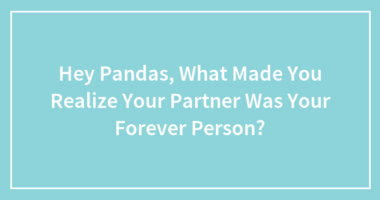 Hey Pandas, What Made You Realize Your Partner Was Your Forever Person?