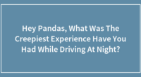 Hey Pandas, What Was The Creepiest Experience You’ve Had While Driving At Night?