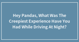 Hey Pandas, What Was The Creepiest Experience You’ve Had While Driving At Night?