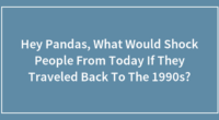 Hey Pandas, What Would Shock People From Today If They Traveled Back To The 1990s?