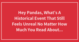 Hey Pandas, What’s A Historical Event That Still Feels Unreal No Matter How Much You Read About It?