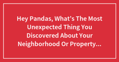 Hey Pandas, What’s The Most Unexpected Thing You Discovered About Your Neighborhood Or Property After Moving In?