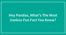 Hey Pandas, What’s The Most Useless Fun Fact You Know?