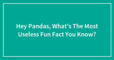 Hey Pandas, What’s The Most Useless Fun Fact You Know?