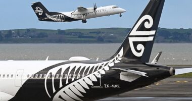 An incident at Auckland Airport left a worker with a 'very severe injury' on Monday (stock)