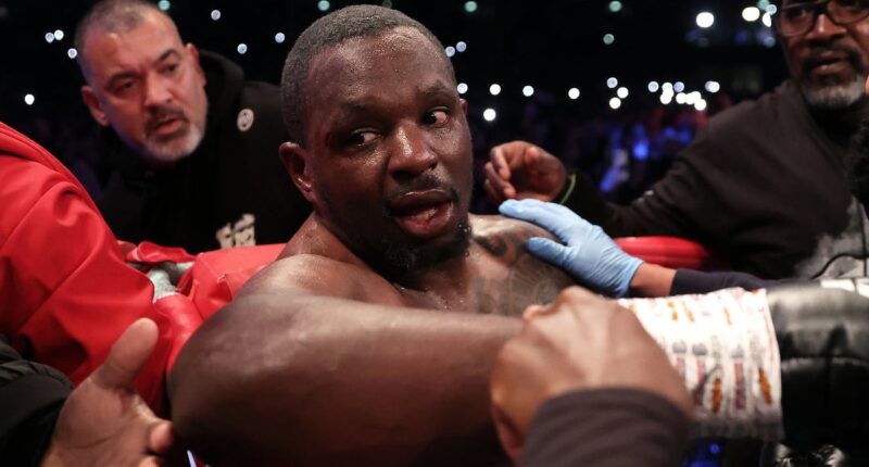 How Dillian Whyte overcame brutal losses to rise again and face Moses Itauma