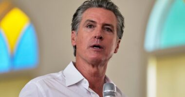 How Many More Illegal Aliens With California Commercial Driver's Licenses Are on the Road? – HotAir