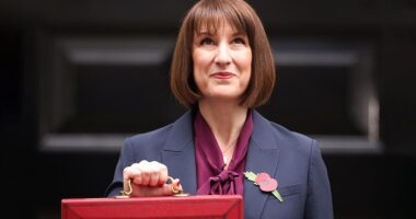 The Autumn Budget might be two months away, but speculation over which taxes the Chancellor will increase has already begun. Rachel Reeves is constrained by her manifesto pledges to keep income tax, VAT and National Insurance at the same level, despite calls to 'substantially' increase taxes.