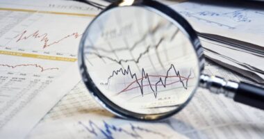 How options trading in Palantir, Uber and Fortinet gave clues to the stocks’ postearnings moves