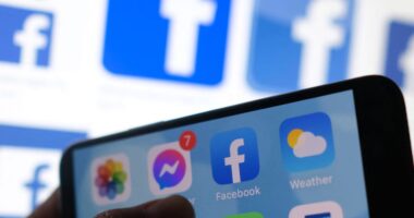 How social media convinces investors they’re the next Warren Buffett — or smarter