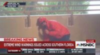 How's That Big MSNBC Rebrand Going? Peacock Gone, Multiple Sclerosis Trending – HotAir