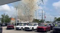 The Eastern Carolina Veterinary Referral went up in flames Tuesday after a car crash caused a gas explosion