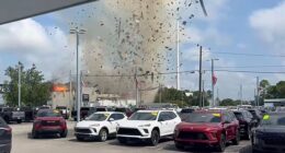 The Eastern Carolina Veterinary Referral went up in flames Tuesday after a car crash caused a gas explosion
