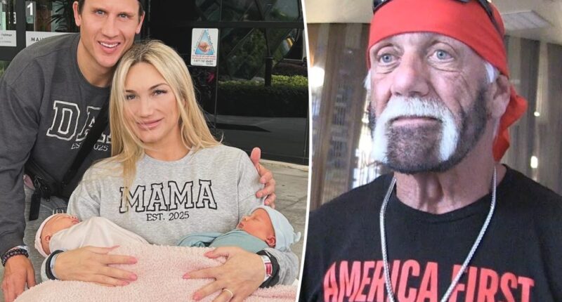 Hulk Hogan had 'no interest' in meeting daughter Brooke's twins before his death