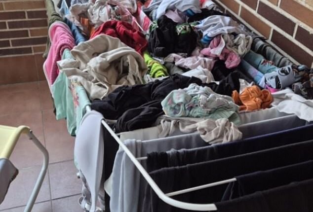 Sharing a picture to Reddit of her loaded up clothes horse on an apartment balcony, the woman wrote the heading: 'Asked my husband to hang the clothes'