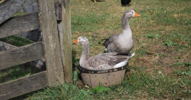 I Saved Up Money From Minimum Wage Jobs To Buy A Camera And Here Are My First Photos