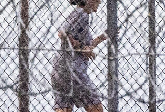 Maxwell is keen on keeping fit behind bars. Pictured: Ghislaine Maxwell running laps on the track of FCI Tallahassee on November 6, 2022