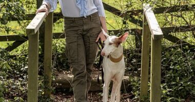 Kate Spicer moved to the Cotswolds after splitting with her partner of 15 years