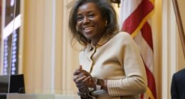 Idiotic Democrat Official Blames Winsome Sears for the Racist Attack Against Her – RedState