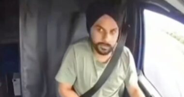 Illegal Alien Truck Driver Kills Three.