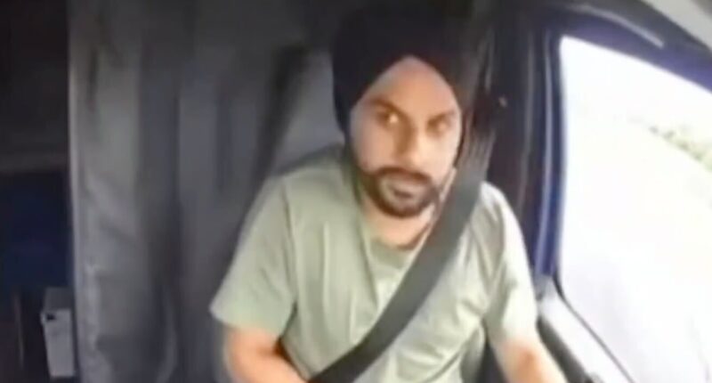 Illegal Alien Truck Driver Kills Three.