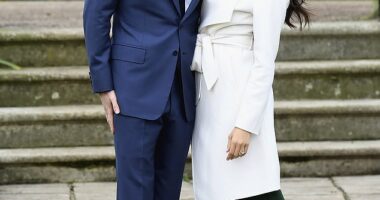 Prince Harry and Meghan Markle announce their engagement in November 2017. Just over a year earlier, Meghan meticulously planned how to 'out' Harry as her boyfriend