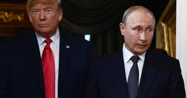 Putin broke the 'alpha bro code' and now Trump is unhappy with him, according to a body language expert