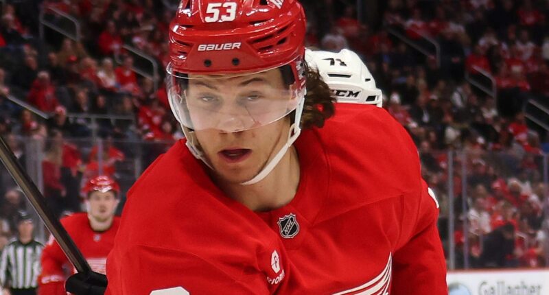 Intriguing Red Wings Trade Pitch Brings Needed Blueline Upgrade