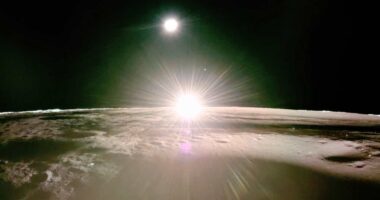 Investors are clamoring for this company’s new stock, after a successful moon landing