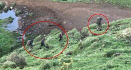 For the past three years and eight months, Tom Phillips, 38, has been on the run, hiding out in the wilds of New Zealand. With him are his three children, Jayda, 12, Maverick, ten, and Ember, nine. Pictured: An image of what is believed to be the missing family, taken by a hunter