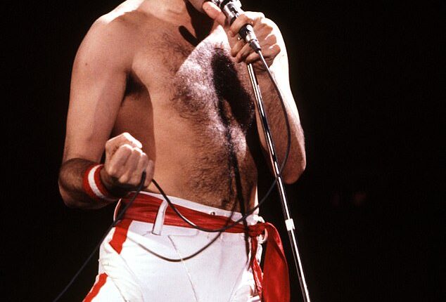 Could the smallest of clues buried within his father's will prove that Freddie Mercury's family knew about the existence of a secret daughter?