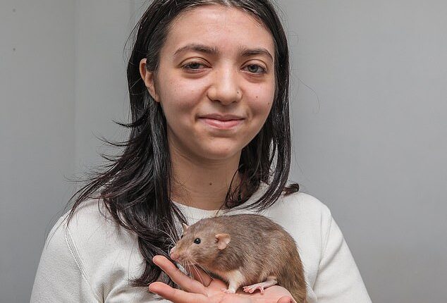 Ella Woodland, 18, from Droitwich Spa, Worcestershire, was curious to see whether her eight rodents had any artistic qualities