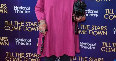 Jenni Murray, pictured attending the press night for Till The Stars Come Down in London last month, says she now avoids invitations because being seen as old has shaken whatever confidence she may have had in the past
