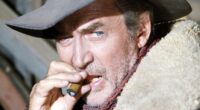 James Stewart's Oscar-Worthy Performance In Shenandoah