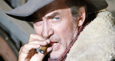 James Stewart's Oscar-Worthy Performance In Shenandoah