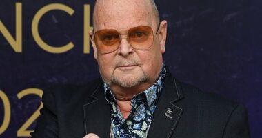 James Whale admitted that the past few months had been 'hard' and expressed his sadness at missing Christmas as his final words were revealed days after his death [pictured in 2023]