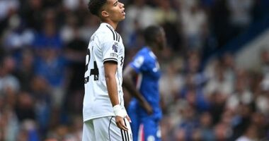 Fulham's Josh King was livid after having a goal controversially ruled out against Chelsea