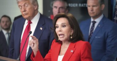 Judge Jeanine Updates Us on D.C., Then Reacts to Concerning Decision in 'Big Balls' Attack Case – RedState