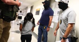 Judge trashes ICE arrests at courthouses, warning ‘millions could be swept up’ under Trump administration rules